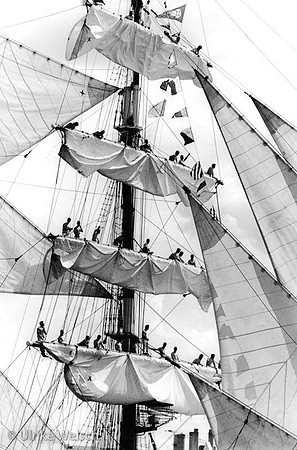 Crew in Rigging on Tall Ship SIMON BOLIVAR: sailors_in_rigging