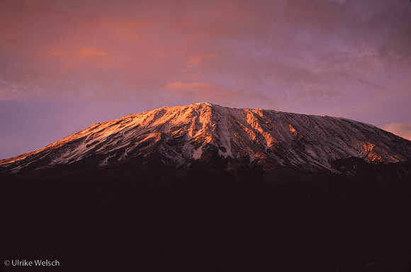 TzLKili1_5