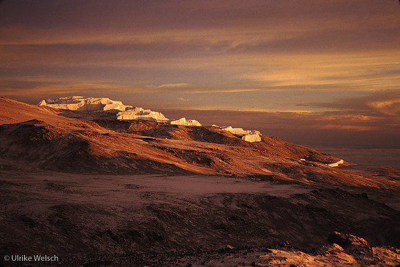 TzLKili1_7