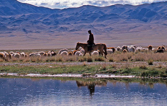 Herder in  Mongolia: MFCher.1-5Ppt