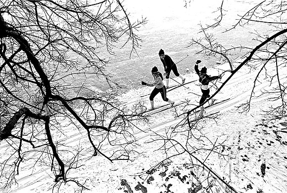 Cross Country on Dartmouth College Green: 020880